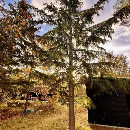 Nordic 100 Metres From Nordstrand Nyaraló Nykøbing Sjælland